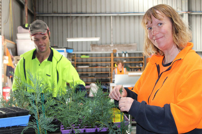 Employees at Yarra View Nursery